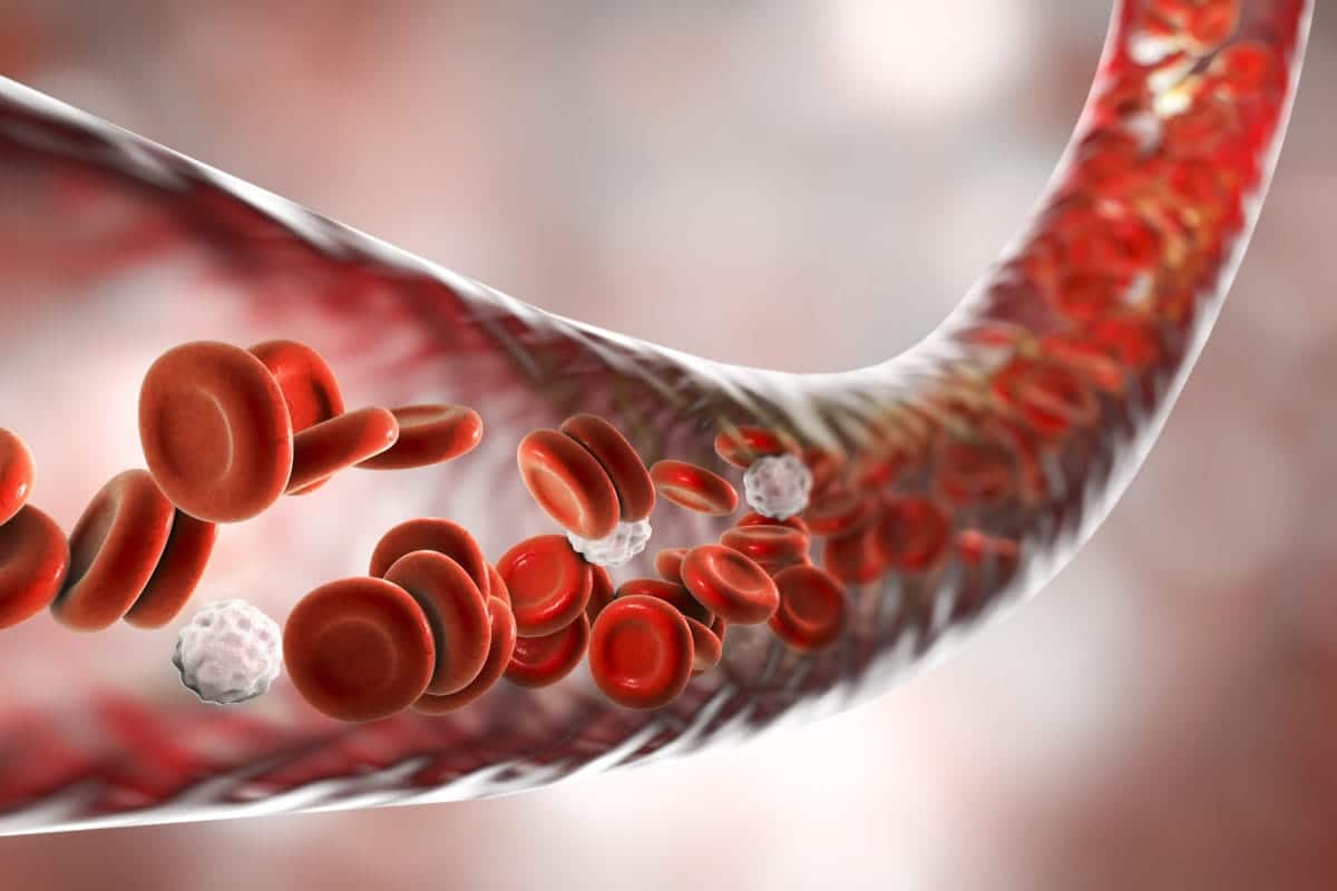 DR. ARMIN KOROKNAY ANALYZED THE "VACCINATED" BLOOD - Fringe News