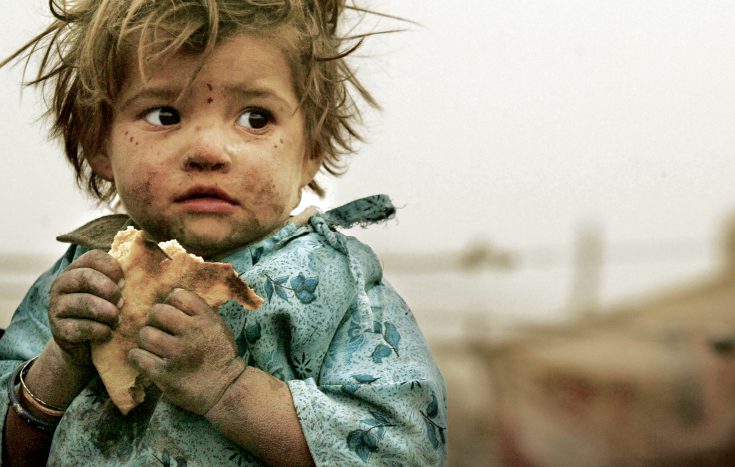Global Starvation Coming This Fall - Fringe News
